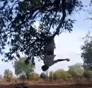 Video: Farmer's Tree 'Inverted Hangover' movement | Video: शेतक-यांचे झाडाला ‘उलटे टांगो’ आंदोलन