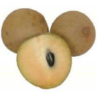 You want to live a lot? Do you see grandchildren, grandchildren? | तुम्हाला खूप जगायचंय? नातवंडं, पतवंडं पाहायचीत? You want to live a lot? Do you see grandchildren, grandchildren? | तुम्हाला खूप जगायचंय? नातवंडं, पतवंडं पाहायचीत?