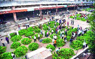 2328 Quantum arrivals, auction continues to be smooth | २३२८ क्ंिवटल आवक, लिलाव सुरळीत सुरू