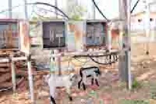 Dangerous: | धोकादायक : Dangerous: | धोकादायक :