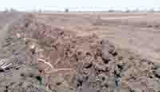 The loss of other farmers to save their own farm | स्वत:चे शेत वाचविण्यासाठी अन्य शेतकऱ्यांचे नुकसान The loss of other farmers to save their own farm | स्वत:चे शेत वाचविण्यासाठी अन्य शेतकऱ्यांचे नुकसान