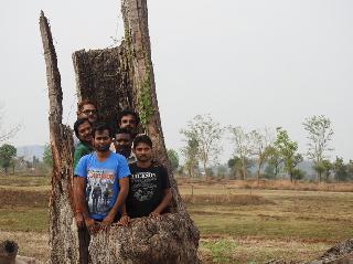 Pensions for old trees will now be given to farmers | जुन्या वृक्षांसाठी आता शेतकऱ्यांना देणार पेन्शन Pensions for old trees will now be given to farmers | जुन्या वृक्षांसाठी आता शेतकऱ्यांना देणार पेन्शन