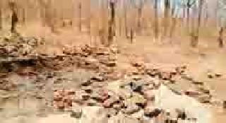 Flat the water in the water of the animal | प्राण्यांची तृष्णातृप्त करणारी पाणी टाकी जमीनदोस्त