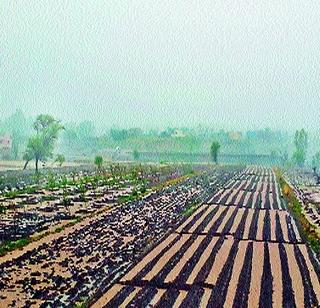 Now let me sew my seeds! | माझं शिवार बी होऊ दे आता आबादानी...!