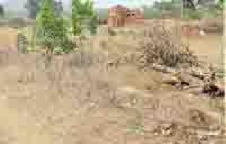 Avoiding the rehabilitation of the rehabilitators | पुनर्वसनग्रस्तांची वास्तव्यास टाळाटाळ Avoiding the rehabilitation of the rehabilitators | पुनर्वसनग्रस्तांची वास्तव्यास टाळाटाळ