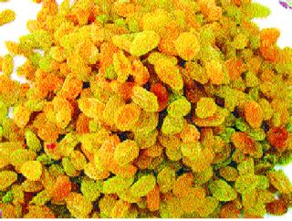 GST on BJP, credibility of NCP | जीएसटीवरून भाजप, राष्ट्रवादीत श्रेयवाद GST on BJP, credibility of NCP | जीएसटीवरून भाजप, राष्ट्रवादीत श्रेयवाद