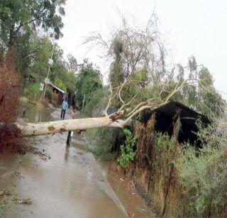 Hailstorm with thunderstorm in Dahigand | दहीगाव भागात वादळासह गारपीट Hailstorm with thunderstorm in Dahigand | दहीगाव भागात वादळासह गारपीट