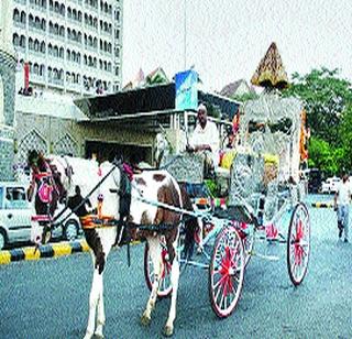 Horseraders will get hawkers license | घोडागाडीवाल्यांना मिळणार फेरीवाला परवाना Horseraders will get hawkers license | घोडागाडीवाल्यांना मिळणार फेरीवाला परवाना