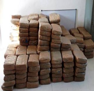 In Ahmednagar, one crore ganja seized | अहमदनगरमध्ये एक कोटींचा गांजा जप्त In Ahmednagar, one crore ganja seized | अहमदनगरमध्ये एक कोटींचा गांजा जप्त