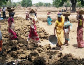 Rohit is the first in the state of Gondia | रोहयोत गोंदिया राज्यात प्रथम Rohit is the first in the state of Gondia | रोहयोत गोंदिया राज्यात प्रथम