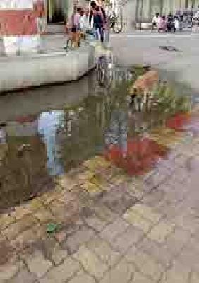 'Irwin' sick! | ‘इर्विन’ आजारी!