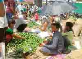 Pickle mangoes: | लोणच्याचे आंबे :