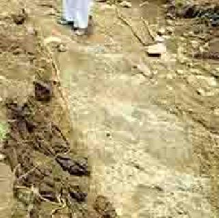 Pusad taluka has 304 mm rain | पुसद तालुक्यात ३०४ मिमी पाऊस Pusad taluka has 304 mm rain | पुसद तालुक्यात ३०४ मिमी पाऊस