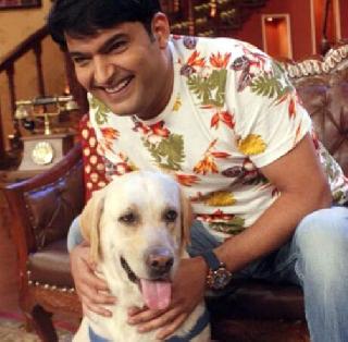 TV stars darling PETS! | टीव्ही स्टार्सचे डार्लिंग पेट्स!