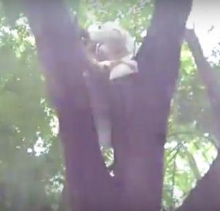 VIDEO: Farmer's Sholestyl Movement for Farmers | VIDEO : शेतजमिनीसाठी शेतकऱ्याचे शोलेस्टाईल आंदोलन VIDEO: Farmer's Sholestyl Movement for Farmers | VIDEO : शेतजमिनीसाठी शेतकऱ्याचे शोलेस्टाईल आंदोलन