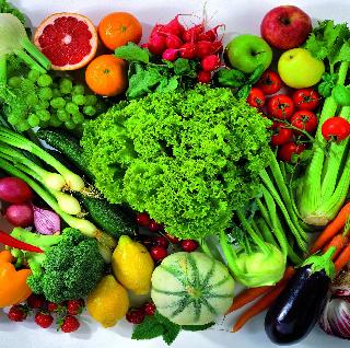 Due to the vegetarianism, 70 million people will die less every year | शाकाहारामुळे दरवर्षी ७० लाख लोक कमी मरतील