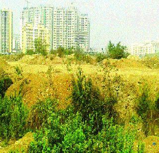 Illegal fines from Mehta's company | मेहतांच्या कंपनीकडून बेकायदा भराव Illegal fines from Mehta's company | मेहतांच्या कंपनीकडून बेकायदा भराव