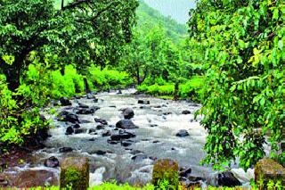 Achievements for consecutive holidays | सलग सुट्यांची साधली पर्वणी Achievements for consecutive holidays | सलग सुट्यांची साधली पर्वणी