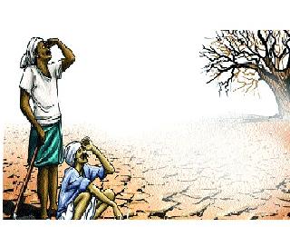 Debt Waiver of Rs | जिल्ह्यात ९२५ कोटींची कर्जमाफी Debt Waiver of Rs | जिल्ह्यात ९२५ कोटींची कर्जमाफी