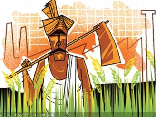 Due to the sowing crisis of farmers! | शेतकर्यांवर दुबार पेरणीचे संकट ! Due to the sowing crisis of farmers! | शेतकर्यांवर दुबार पेरणीचे संकट !