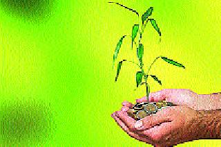 Support cards for pervasive release | पीकविम्यासाठी आधार कार्ड सक्तीचे Support cards for pervasive release | पीकविम्यासाठी आधार कार्ड सक्तीचे