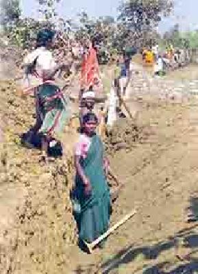 The demand for ROHO has increased | रोहयोची मागणी वाढली