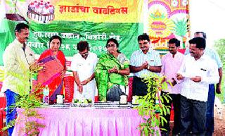 Birthday of 1800 trees | १८०० वृक्षांचा वाढदिवस