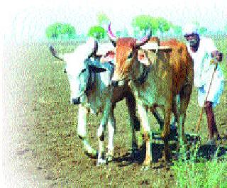 Debt relief is more than debt | कर्ज माफीपेक्षा कर्जवसुलीच जास्त Debt relief is more than debt | कर्ज माफीपेक्षा कर्जवसुलीच जास्त