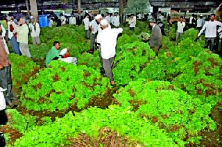 Dismissal of the Director: 14th hearing | संचालक बरखास्ती : १४ ला सुनावणी