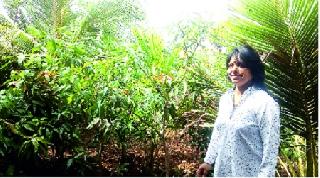 Sageeta Padalkar, an oxygen plant made from waste manure | कचऱ्याच्या खतापासून बनविला आॅक्सिजन प्लांट संगीता पाडळकर : परिसर फुलला झाडांनी Sageeta Padalkar, an oxygen plant made from waste manure | कचऱ्याच्या खतापासून बनविला आॅक्सिजन प्लांट संगीता पाडळकर : परिसर फुलला झाडांनी