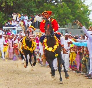 VIDEO - Spontaneous reception in the tune of Tukaram's Palkhi | VIDEO- संत तुकारामांच्या पालखीचे अकलूजमध्ये उत्स्फूर्त स्वागत VIDEO - Spontaneous reception in the tune of Tukaram's Palkhi | VIDEO- संत तुकारामांच्या पालखीचे अकलूजमध्ये उत्स्फूर्त स्वागत