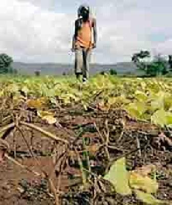 When is the help of the rain? | अतिवृष्टीची मदत केव्हा ?