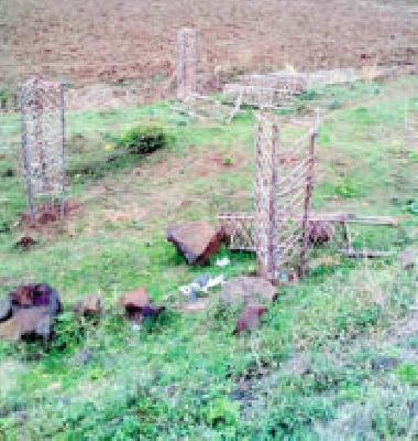 'Mission Green' eclipsed the idea | ‘मिशन ग्रीन’ संकल्पनेला लागले ग्रहण