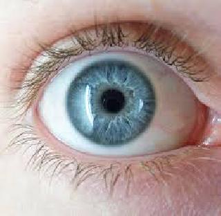 For the blossoming and dashing eyes .. | टपोऱ्या आणि पाणीदार डोळ्यांसाठी..