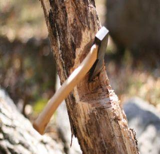 Vanamjuras assault because of opposition to the tree | वृक्षतोडीला विरोध केल्याने वनमजुरास मारहाण