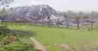 Cover the tarp of on open and paddy | उघड्यावर ताडपत्री झाकून ठेवले धान Cover the tarp of on open and paddy | उघड्यावर ताडपत्री झाकून ठेवले धान