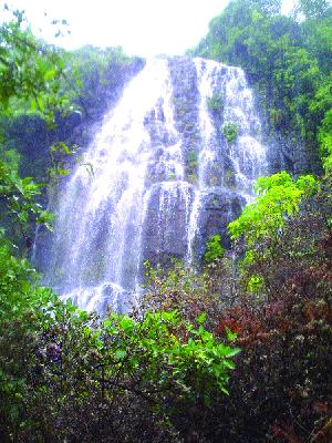 False knock! | धबाबा तोय आदळे ! False knock! | धबाबा तोय आदळे !