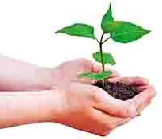 13.75 lakh trees will be planted | १३.७५ लाख वृक्ष लागवड होणार 13.75 lakh trees will be planted | १३.७५ लाख वृक्ष लागवड होणार