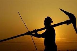 Only nine thousand taker farmers of District Bank eligible for debt relief! | जिल्हा बँकेचे केवळ नऊ हजार थकबाकीदार शेतकरी कर्जमाफीसाठी पात्र! Only nine thousand taker farmers of District Bank eligible for debt relief! | जिल्हा बँकेचे केवळ नऊ हजार थकबाकीदार शेतकरी कर्जमाफीसाठी पात्र!