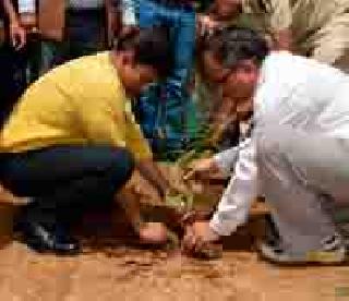 On the first day, plantation of 2 lakh trees | पहिल्या दिवशी २ लाख वृक्षांची लागवड On the first day, plantation of 2 lakh trees | पहिल्या दिवशी २ लाख वृक्षांची लागवड