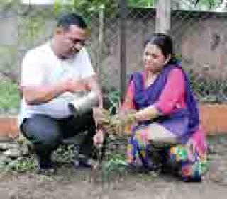 On the very first day, five lakh trees of wood | पहिल्याच दिवशी पाच लाखांवर वृक्षलागवड On the very first day, five lakh trees of wood | पहिल्याच दिवशी पाच लाखांवर वृक्षलागवड