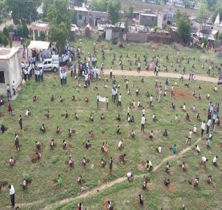 Planted 4 thousand trees made in three minutes | तीन मिनिटात केली ४ हजार वृक्ष लागवड Planted 4 thousand trees made in three minutes | तीन मिनिटात केली ४ हजार वृक्ष लागवड