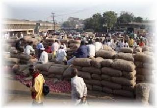 Agricultural Produce Market Committees are just offline! | कृषी उत्पन्न बाजार समित्यांचा कारभार ‘आॅफलाइन’च! Agricultural Produce Market Committees are just offline! | कृषी उत्पन्न बाजार समित्यांचा कारभार ‘आॅफलाइन’च!