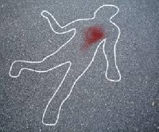 The murder of the cat in Pune, the murder of the woman | पुण्यात मांजर फेकल्याच्या वादातून महिलेचा खून The murder of the cat in Pune, the murder of the woman | पुण्यात मांजर फेकल्याच्या वादातून महिलेचा खून