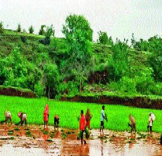 Dusty rain in the morning; Start irradiation | भोरमध्ये दमदार पाऊस; भातलावण सुरू