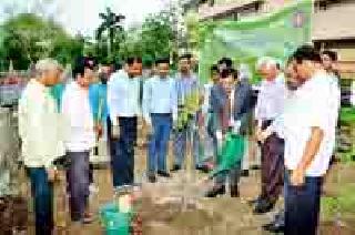 Saptapurni will grow in the university | विद्यापीठात बहरणार सप्तपर्णी Saptapurni will grow in the university | विद्यापीठात बहरणार सप्तपर्णी