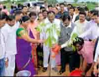 Dumpyard decoration by Manpath for decoration of tree | वृक्ष दिनानिमित्त मनपातर्फे डम्पिंगयार्डची सजावट