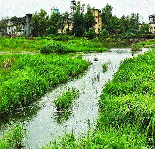 False water in an open space | जिते येथील मोकळ्या जागेत फेसाळ पाणी