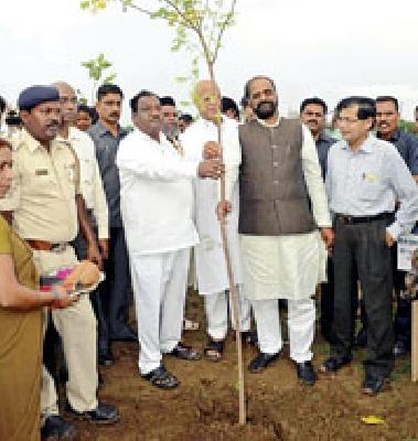 Planting of 38 lakh trees in the district so far | जिल्ह्यात आतापर्यंत ३८ लाख वृक्षांचे रोपण