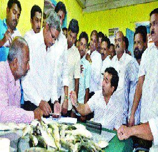 Nitesh Rane threw 'fish' on the officials | नीतेश राणे यांनी अधिकाऱ्यांवर ‘मासळी’ भिरकावली Nitesh Rane threw 'fish' on the officials | नीतेश राणे यांनी अधिकाऱ्यांवर ‘मासळी’ भिरकावली